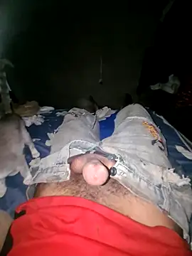 Snapshot of Reynold2608 chatting on January 2025 11:13:01 PM Reynold2608 online show from January 2025 11:13:01 PM