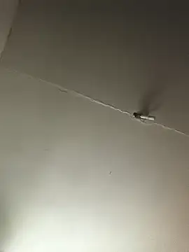 Ozomitro online show from October 2025 02:35:02 PM