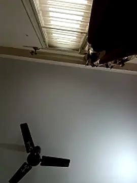 Snapshot of blr_boi chatting on December 2025 06:54:02 AM blr boi online show from December 2025 06:54:02 AM