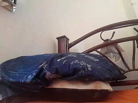 Snapshot of _afrodita_sex chatting on February 2025 07:49:01 PM afrodita sex online show from February 2025 07:49:01 PM