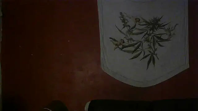 Snapshot of spacegirlll chatting on March 2025 12:47:01 AM spacegirlll online show from March 2025 12:47:01 AM