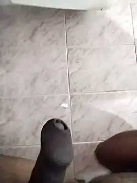 max pane98 online show from February 2025 12:43:02 AM