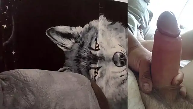 Hornychitown24 online show from February 2026 08:36:02 PM