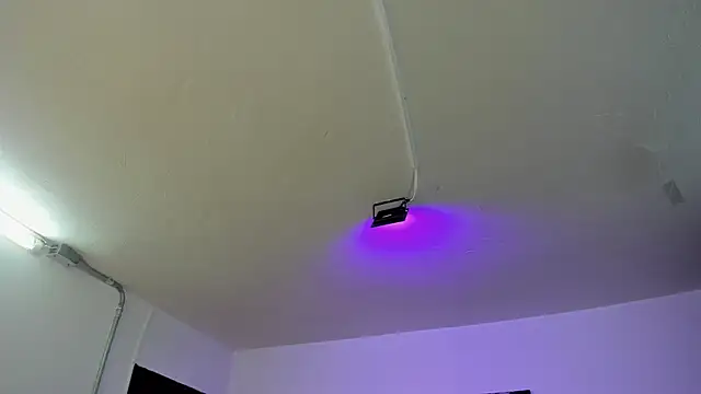 Amy Kiitty  online show from February 2026 01:01:02 PM