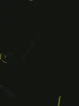 Pressure69mee online show from March 2025 10:59:01 PM