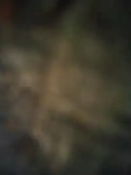 axelongshaft69 online show from April 2026 06:52:02 PM