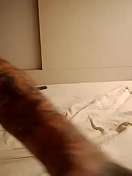 Snapshot of rolesexy chatting on January 2025 02:47:01 AM rolesexy online show from January 2025 02:47:01 AM