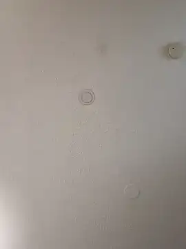 geilerschwanz64 online show from January 2025 07:04:01 AM