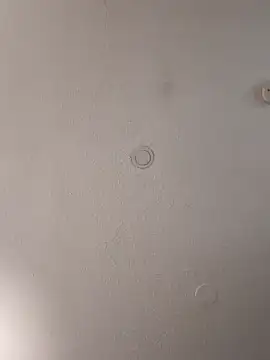 geilerschwanz64 online show from February 2025 04:00:02 PM