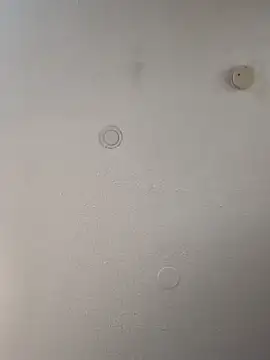 geilerschwanz64 online show from February 2025 08:40:02 AM