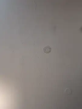 geilerschwanz64 online show from March 2025 12:59:01 AM