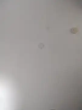 geilerschwanz64 online show from October 2025 02:15:01 AM