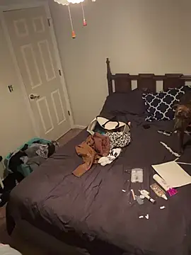 torilux online show from February 2025 11:34:02 PM