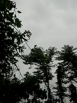 kumaricapalsex2 online show from January 2025 04:20:01 AM