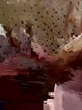 ahross online show from March 2026 11:54:02 PM