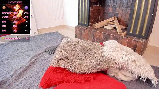 Snapshot of victoriajk chatting on February 2025 03:41:02 PM victoriajk online show from February 2025 03:41:02 PM