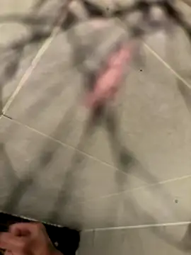 lescro95  online show from December 2025 05:41:02 PM