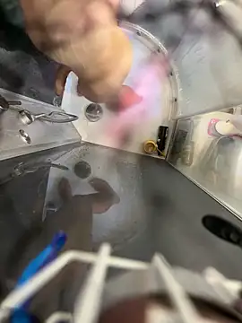 lescro95  online show from April 2026 02:29:02 PM