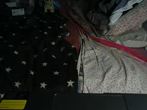 Snapshot of VeneRed chatting on February 2026 08:42:02 PM VeneRed online show from February 2026 08:42:02 PM