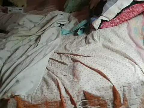 VeneRed online show from April 2026 07:29:01 PM