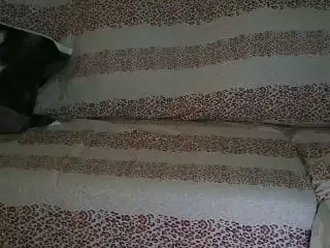 VeneRed online show from April 2026 09:45:02 AM