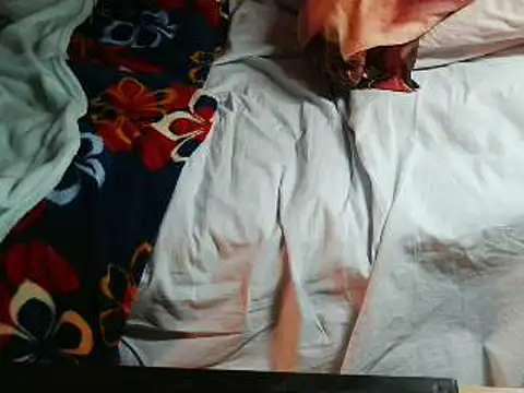 VeneRed online show from April 2026 07:29:02 PM