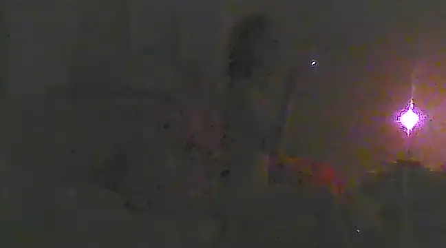 Just Gabriella online show from March 2025 10:33:02 AM