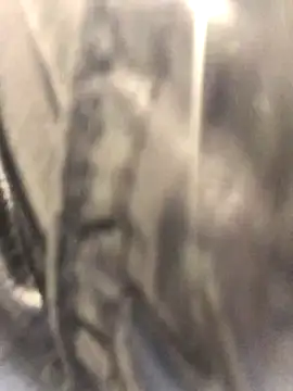 Diamond Bunny  online show from September 2025 03:04:02 PM