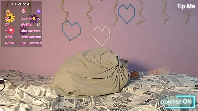 Dante Bear  online show from February 2026 11:17:01 AM