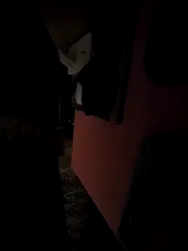 pumapatri online show from March 2026 06:25:01 PM