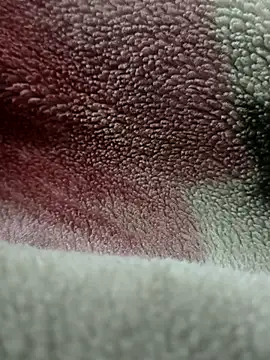 Anamika Kapoor online show from November 2025 06:26:02 AM