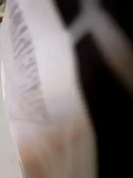 403notfound online show from September 2025 11:58:01 AM