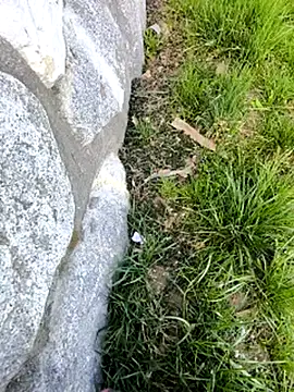 DrownMentallyyy online show from March 2025 12:35:02 PM