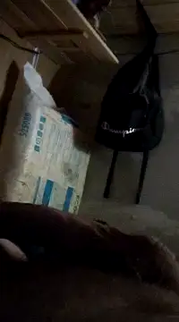 cockringkelley97 online show from December 2024 04:29:02 PM