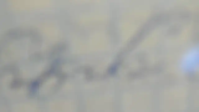 elis gabbi online show from September 2025 12:59:02 PM