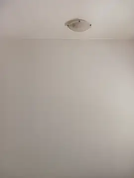 Snapshot of Virgin_Pussy_Love chatting on October 2025 12:49:02 PM Virgin Pussy Love online show from October 2025 12:49:02 PM