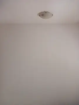 Snapshot of Virgin_Pussy_Love chatting on October 2025 01:26:02 PM Virgin Pussy Love online show from October 2025 01:26:02 PM