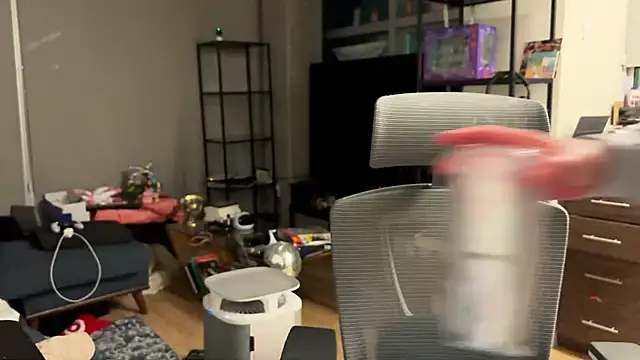 bearcloudcomputa online show from December 2024 04:41:01 AM