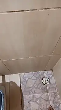 1995eduardo online show from February 2025 01:22:01 PM