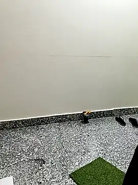 Snapshot of Saroj-Shah chatting on February 2026 03:15:01 AM Saroj-Shah online show from February 2026 03:15:01 AM