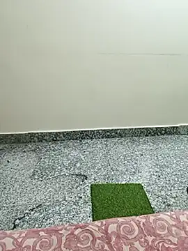 Snapshot of Saroj-Shah chatting on March 2026 05:07:02 PM Saroj-Shah online show from March 2026 05:07:02 PM