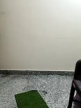 Snapshot of Saroj-Shah chatting on April 2026 06:14:01 AM Saroj-Shah online show from April 2026 06:14:01 AM