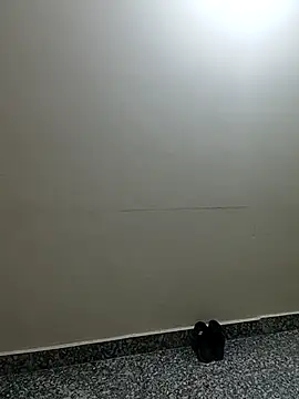 Snapshot of Saroj-Shah chatting on April 2026 03:37:02 AM Saroj-Shah online show from April 2026 03:37:02 AM