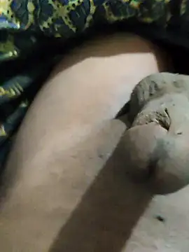 pusssyhub online show from November 2025 11:59:02 PM