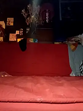 justiacoob online show from November 2025 06:35:01 AM