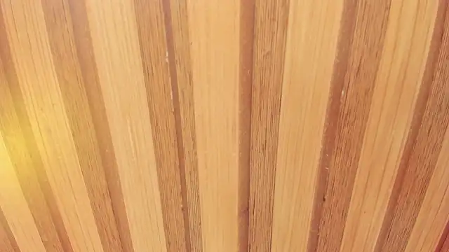 Taylor  cooper online show from February 2026 06:37:02 PM