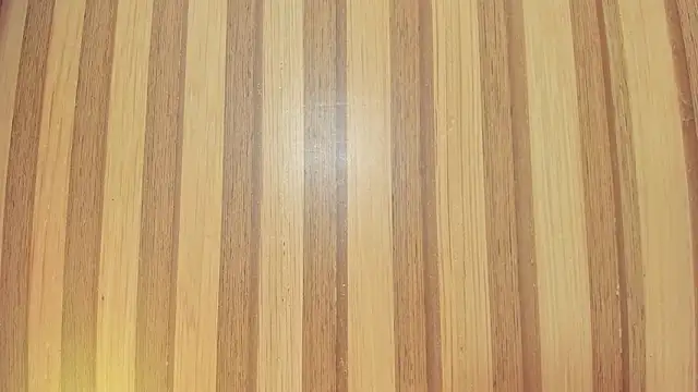 Taylor  cooper online show from March 2026 06:37:01 PM