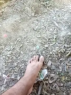 Snapshot of Misbion chatting on November 2025 09:47:02 AM Misbion online show from November 2025 09:47:02 AM