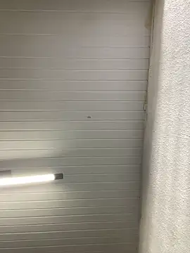 luara1988 online show from September 2025 11:04:02 AM