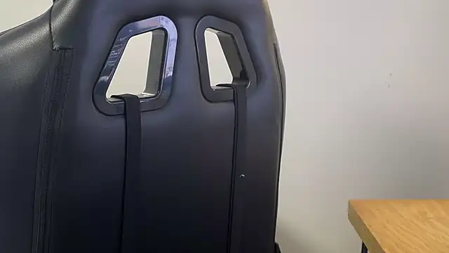 Snapshot of Dylansd chatting on December 2024 08:50:01 PM Dylansd online show from December 2024 08:50:01 PM